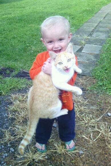 say-cheese-cat