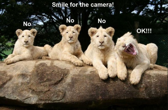 say-cheese-photo
