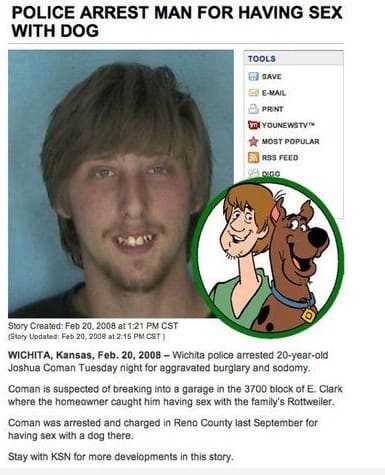 scooby doo look alike