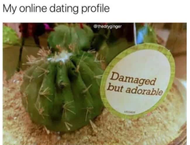 single memes, dating memes, Online dating memes, best dating memes, funny dating memes, funny single memes, single memes funny, love being single memes
