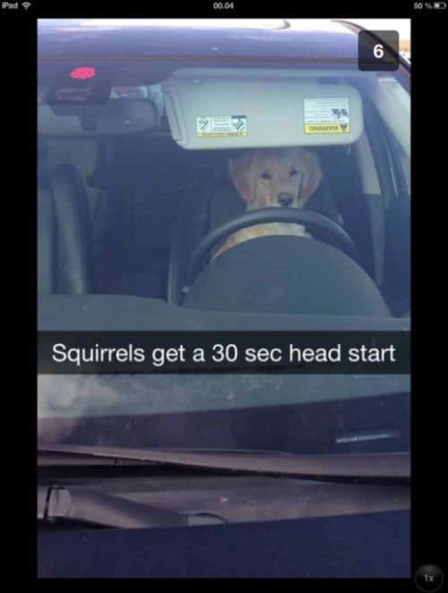 snapchat-clever