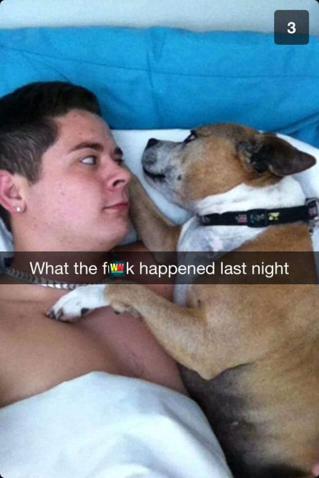 snapchat-dog