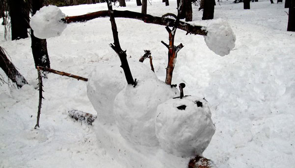 snowman fitness