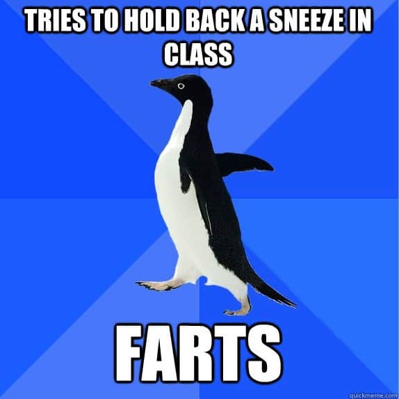 socially awkward penguin fart