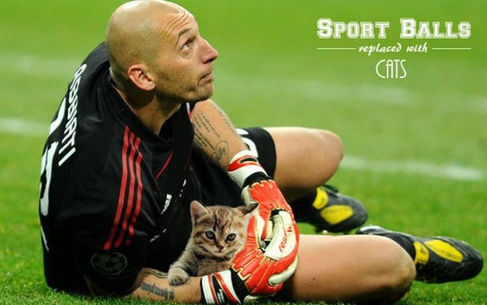 sports balls replaced by cats