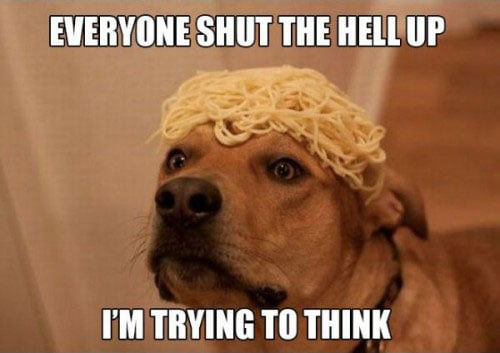 stoned-dogs-funny