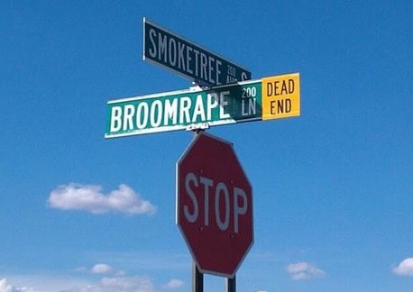 strety name funny pics