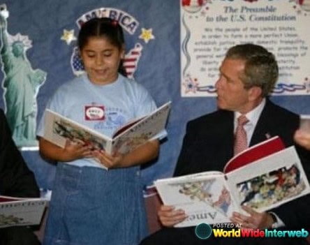 stupid people pics