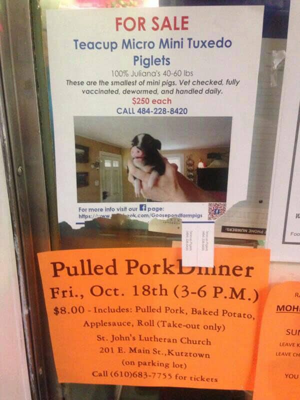 talk-about-poor-placement