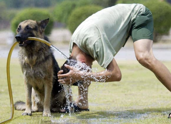 team-work-funny