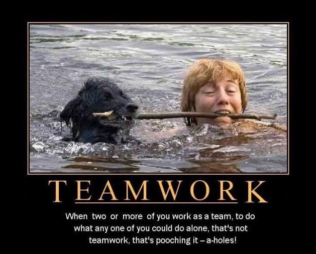 teamwork-dog