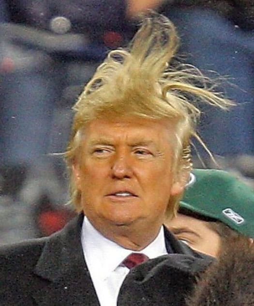 trump hair bad