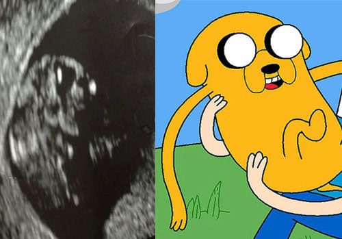 ultrasound-dog