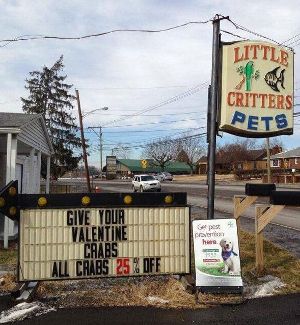 valentines-day-fails
