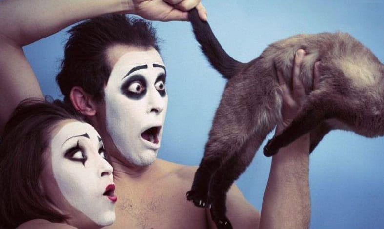 weird cat photo