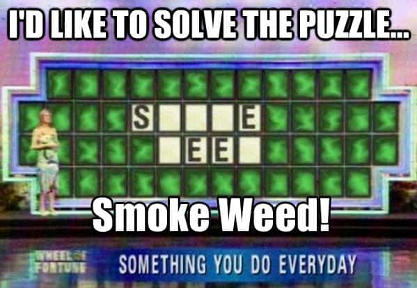 wheel-of-fortune-idiot