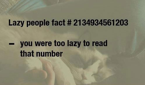wise-words-lazy