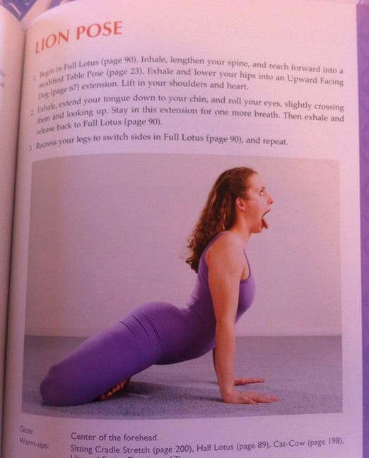 yoga poses