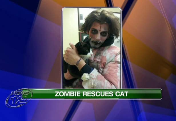 zombie rescues cat