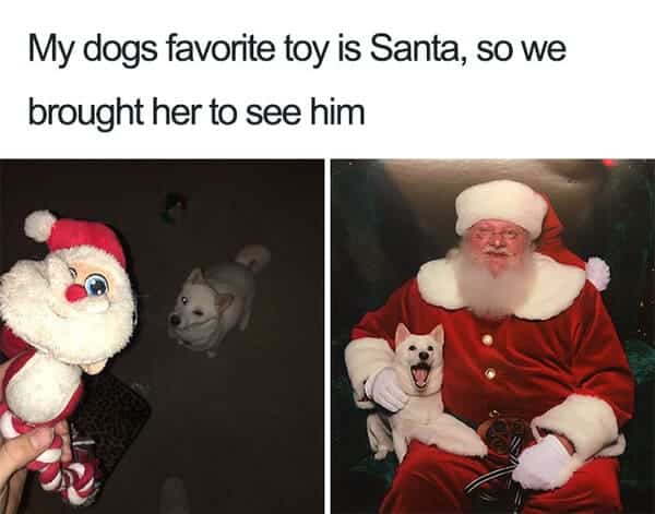 santa dog meme