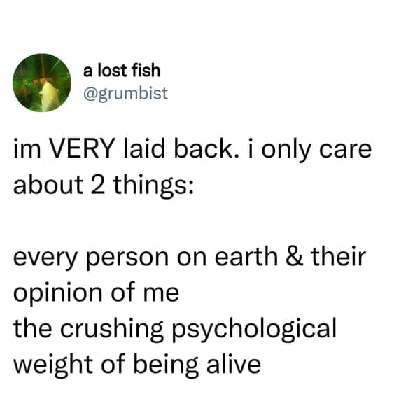 i'm very laid back anxiety meme