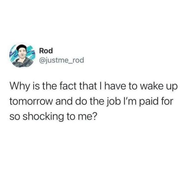 why is the fact i have to wake up and do the job im paid for shocking to me funny work tweet