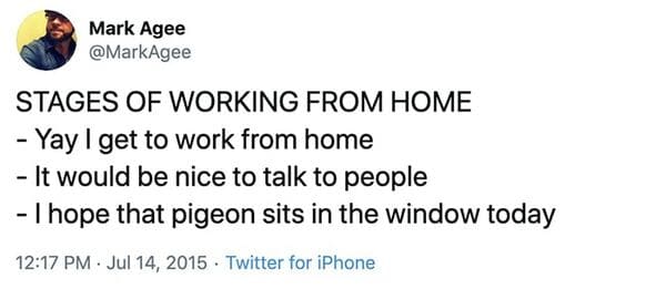 working from home meme, working from home memes, funny working from home meme, funny working from home memes, work from home meme, work from home memes, funny work from home meme, funny work from home memes, working from home meme funny, working from home memes funny, hilarious working from home meme, hilarious working from home memes, hilarious work from home meme, hilarious work from home memes, work from home meme funny, work from home memes funny