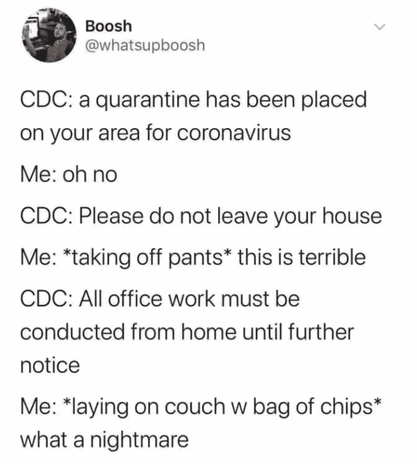 working from home meme, working from home memes, funny working from home meme, funny working from home memes, work from home meme, work from home memes, funny work from home meme, funny work from home memes, working from home meme funny, working from home memes funny, hilarious working from home meme, hilarious working from home memes, hilarious work from home meme, hilarious work from home memes, work from home meme funny, work from home memes funny