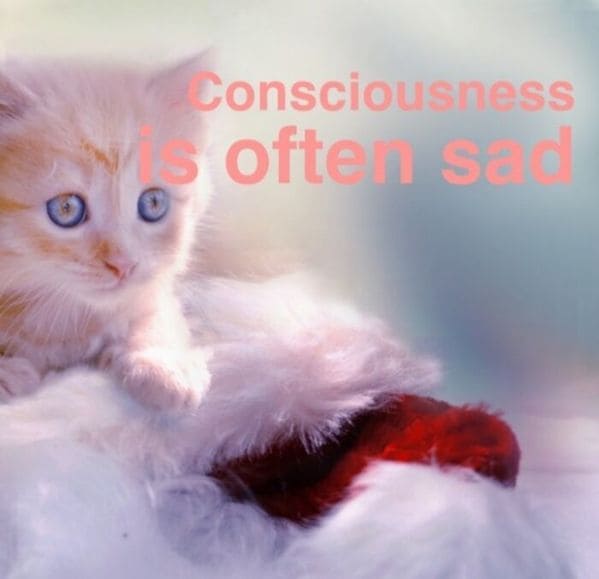inspirobot generator, funny weird wtf inspirational quotes by a computer, ai puts inspiring words over images, hilariously strange AI, artificial intelligence humor, jokes made by computer