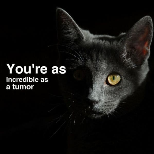 inspirobot generator, funny weird wtf inspirational quotes by a computer, ai puts inspiring words over images, hilariously strange AI, artificial intelligence humor, jokes made by computer
