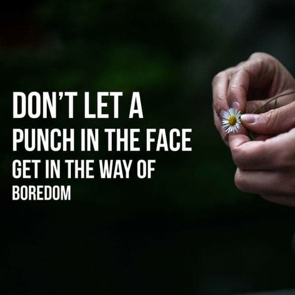 inspirobot generator, funny weird wtf inspirational quotes by a computer, ai puts inspiring words over images, hilariously strange AI, artificial intelligence humor, jokes made by computer