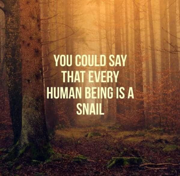 inspirobot generator, funny weird wtf inspirational quotes by a computer, ai puts inspiring words over images, hilariously strange AI, artificial intelligence humor, jokes made by computer