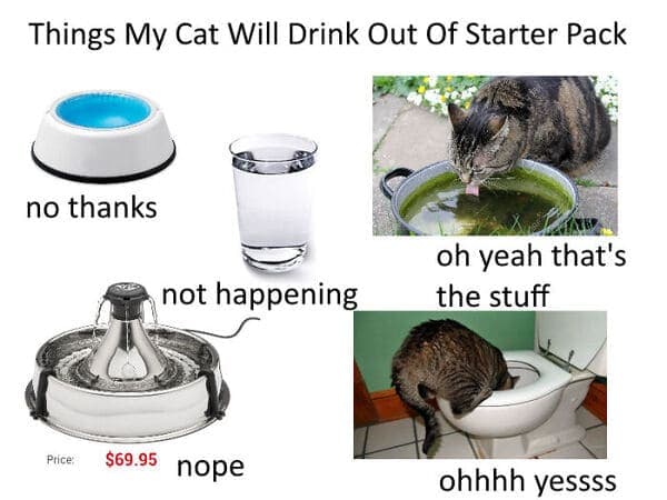best starter pack memes