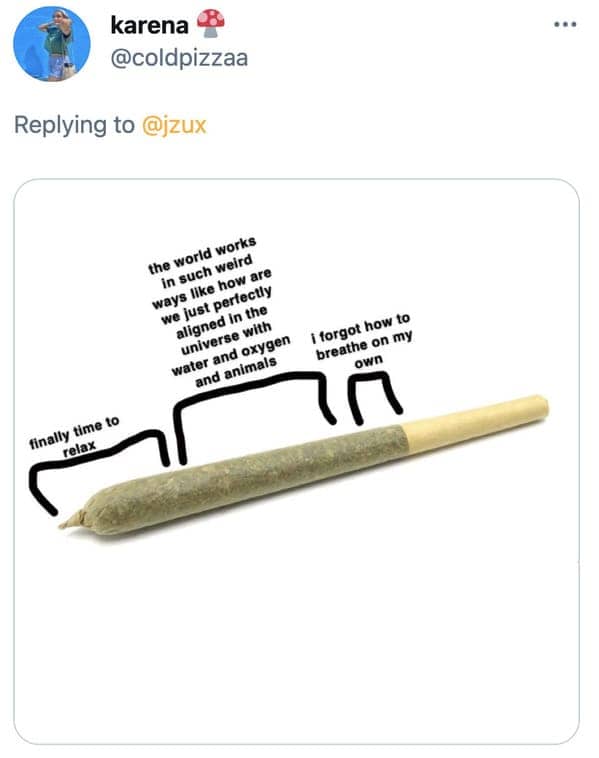 Funny joint memes, jokes about social anxiety, hilarious meme about what it’s like to get high, smoke a blunt, 420, drugs, twitter