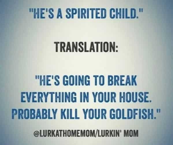 raising boys is easier, funny parenting memes, kids, jokes