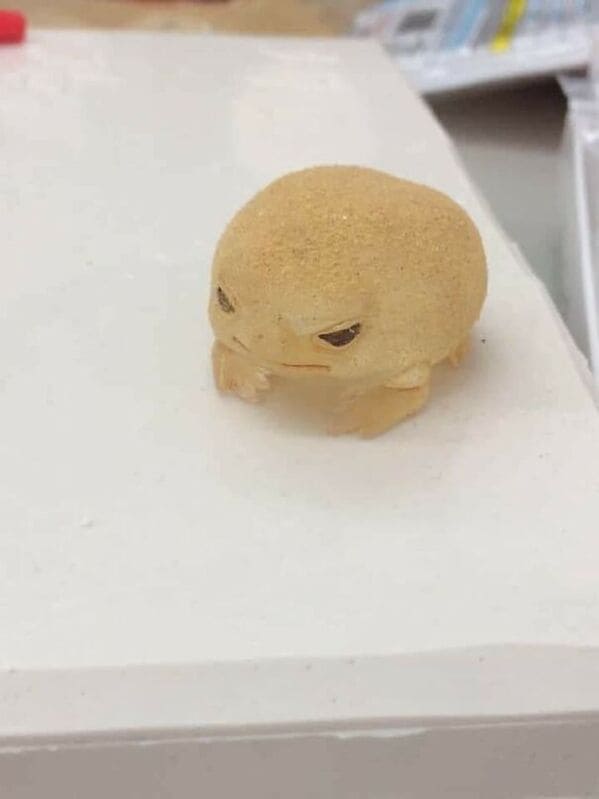 angry looking bubble frog, Important animal images, Funny animal photos, pics of pets doing weird and funny things, funny moments with dog caught on camera, Facebook page compiles best animal images, impanimal