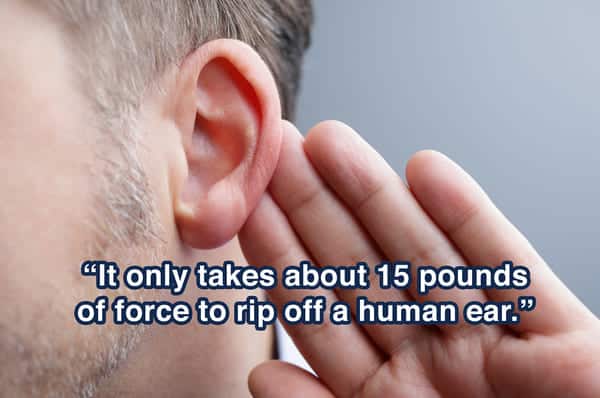 human body facts