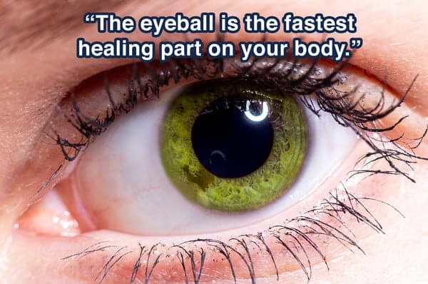 human-body-facts-interesting