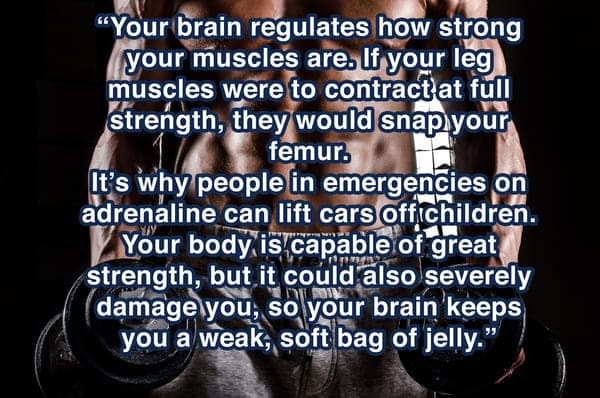 human-body-facts