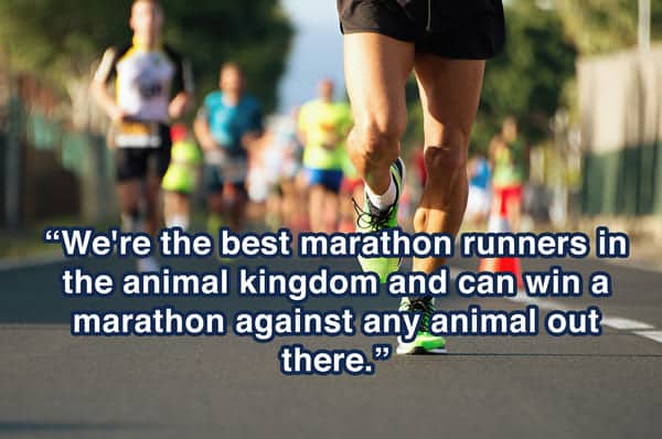 human-body-facts