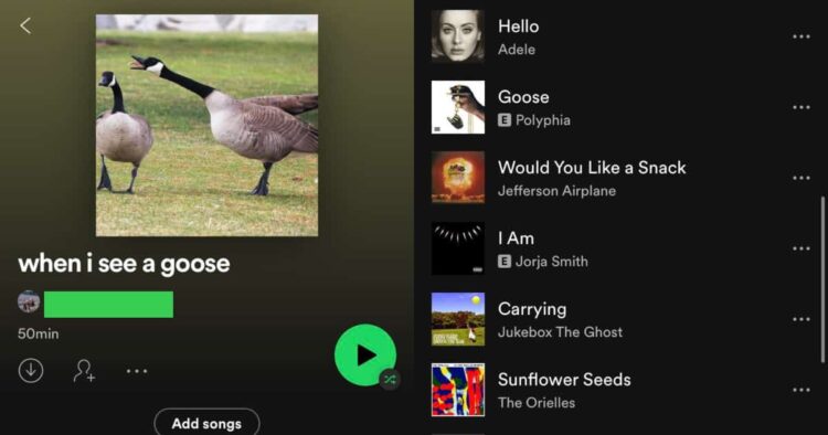 weird spotify playlists