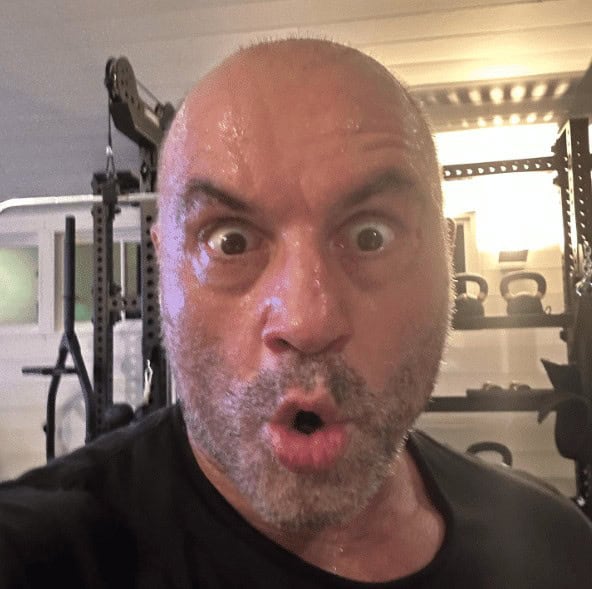 joe rogan the rock dwayne johnson steroids